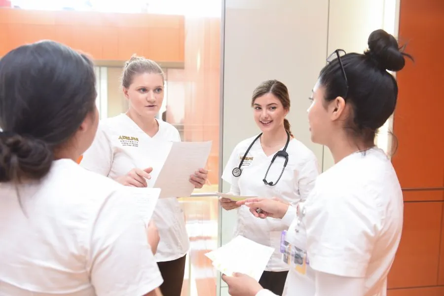 Nursing Study Abroad