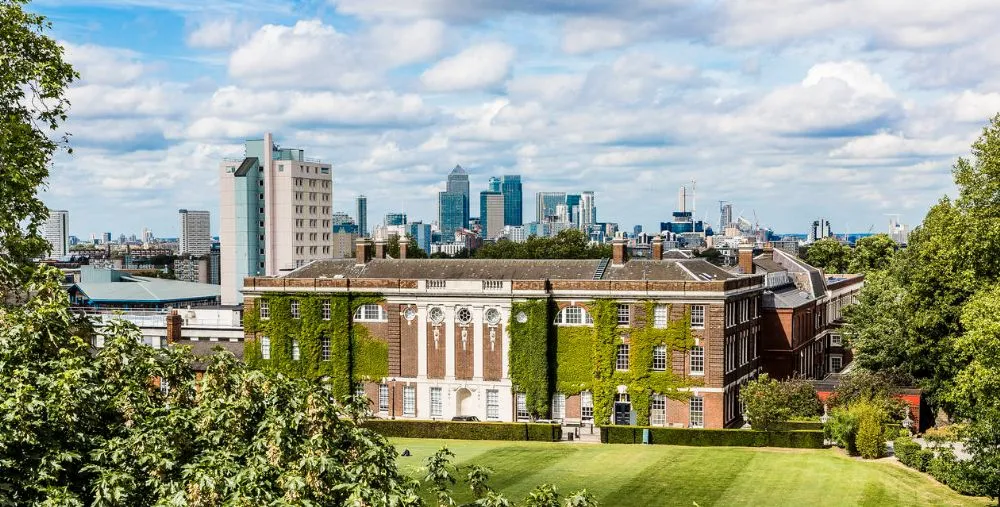 Goldsmith University Of London