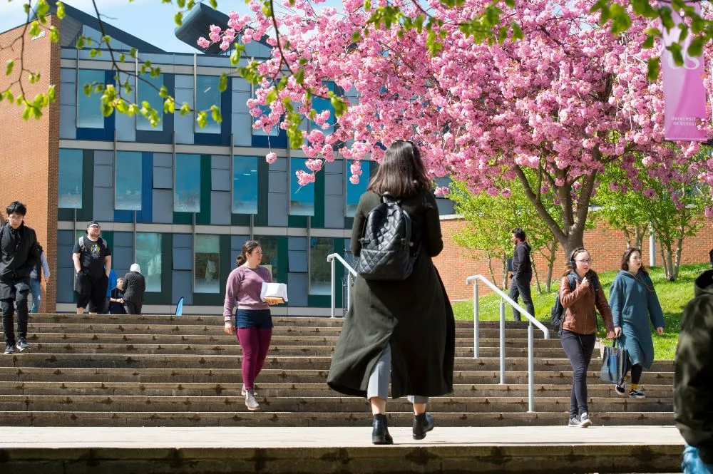 Sussex University Online Course Student Interview
