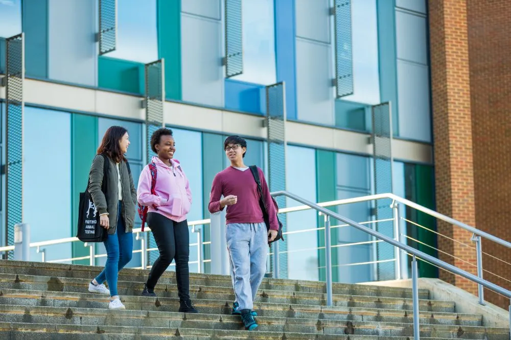Development Study Top University Sussex