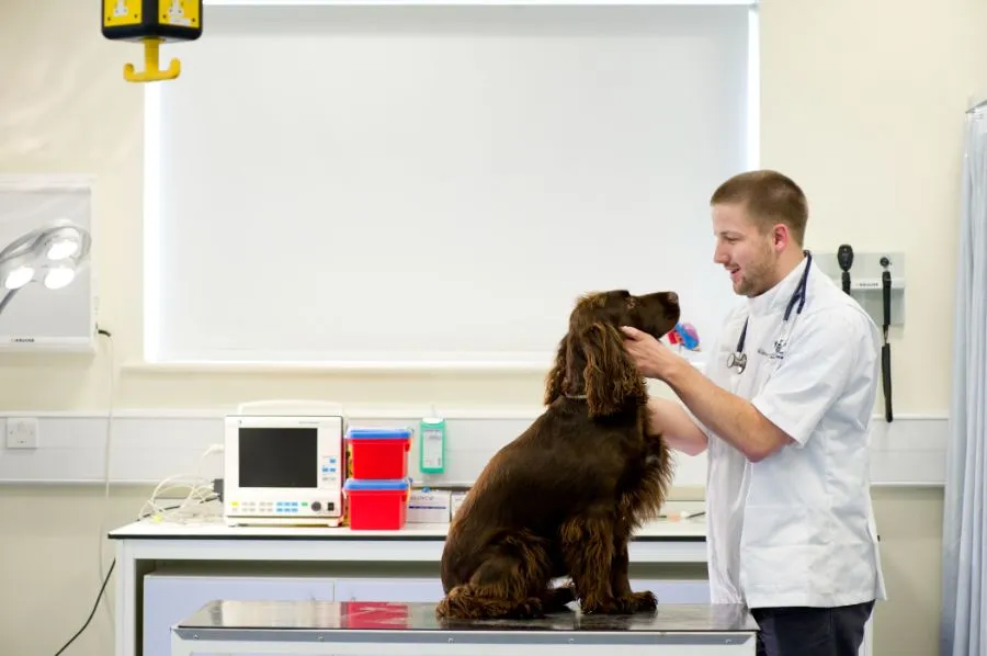 Veterinary Medicine