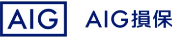 AIG Services Insurance
