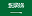 Saudi Flag